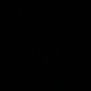 Meet your Posher, Mikie